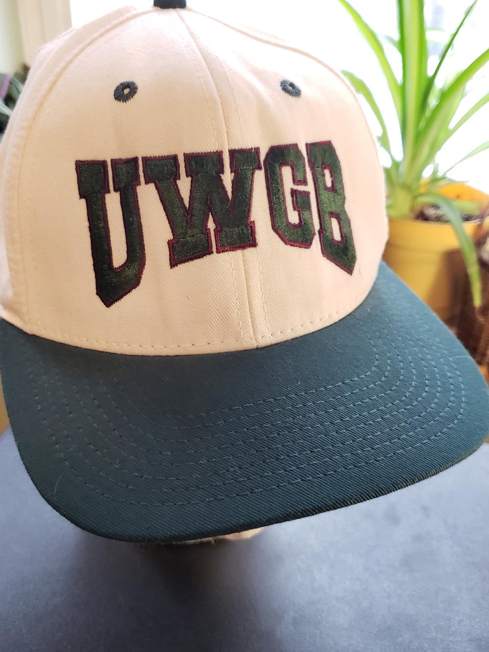 UWGB Embroidered 2-Tone Fitted 7 1/2  Baseball Cap Hat UW Green Bay Phoenix USA